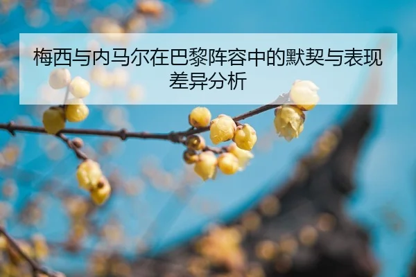 mei-xi-yu-nei-ma-er-zai-ba-li-zhen-rong-zhong-de-mo-qi-yu-biao-xian-cha-yi-fen-xi-2-139.jpg