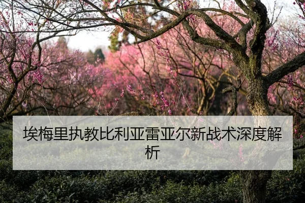 埃梅里执教比利亚雷亚尔新战术深度解析
